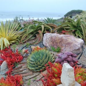 Meet your Posher, Susie